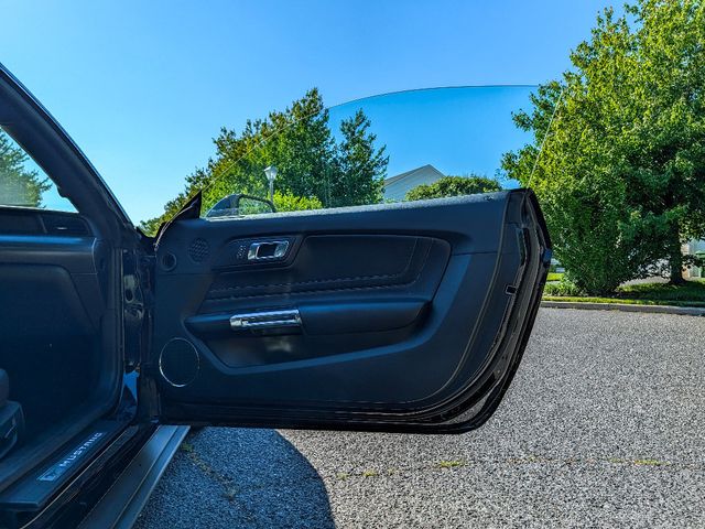 2020 Ford Mustang GT Premium Fastback - 23034520 - 10