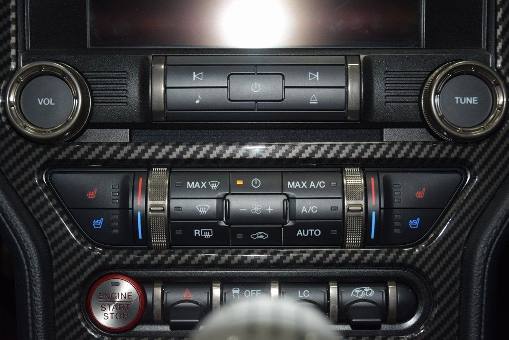 2020 Ford Mustang Shelby GT350 Fastback - 22981448 - 30