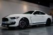 2020 Ford Mustang *Shelby GT350* *Heritage Package* *6spd Manual* *Only 49 Miles*  - 22948845 - 0