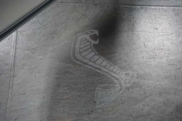 2020 Ford Mustang *Shelby GT350* *Heritage Package* *6spd Manual* *Only 49 Miles*  - 22948845 - 61