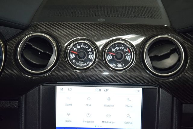 2020 Ford Mustang Shelby GT500 Fastback - 23028146 - 32
