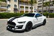 2020 Ford Mustang Shelby GT500 Fastback - 23004695 - 1