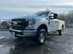2020 Ford Super Duty F-250 SRW  - 22975822 - 0