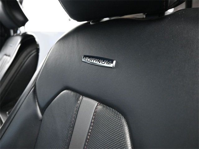 2020 Ford Super Duty F-250 SRW Platinum - 22870965 - 6