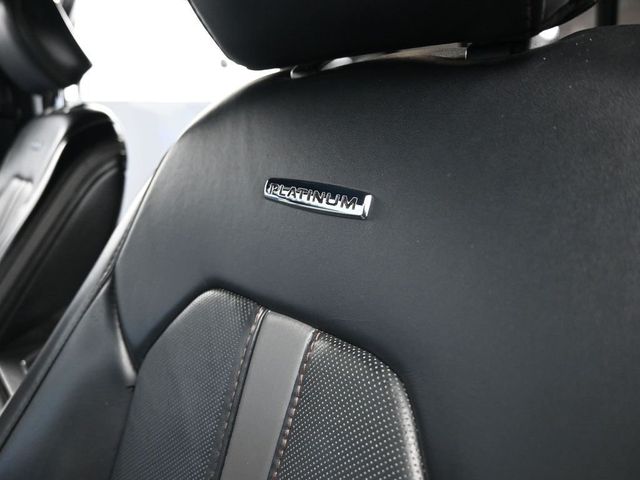 2020 Ford Super Duty F-250 SRW Platinum - 22991323 - 6