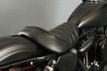 2020 Harley-Davidson Sportster Iron 883 Includes Warranty! - 22654308 - 42