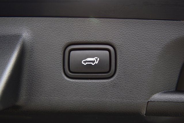 2020 Hyundai Palisade SEL AWD - 22944470 - 23