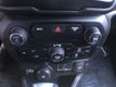 2020 Jeep Renegade Latitude 4x4 - 22933832 - 18