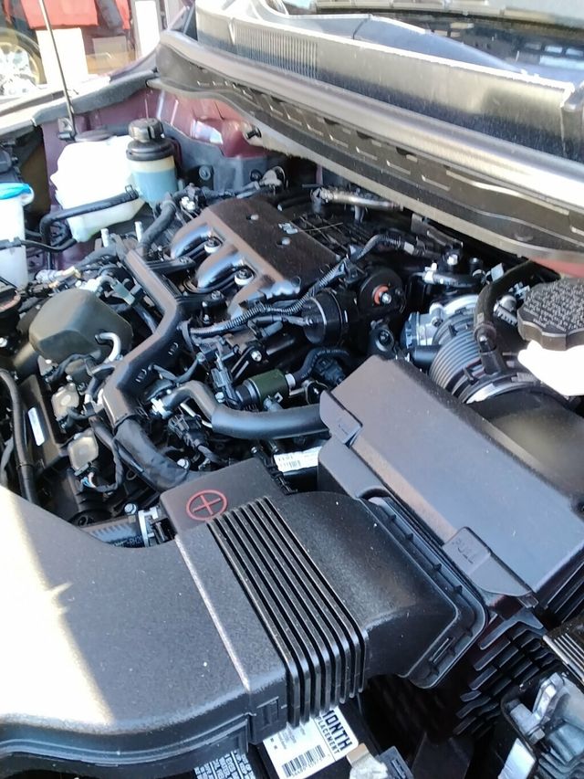 2020 Kia Sedona EXTENDED PASSENGER - 23016523 - 31