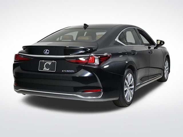 2020 Lexus ES 300h - 22739717 - 4