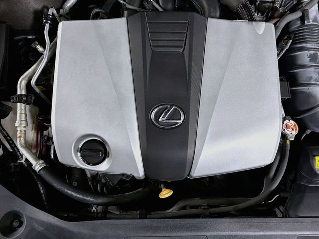 2020 Lexus ES 350 - 23068480 - 21
