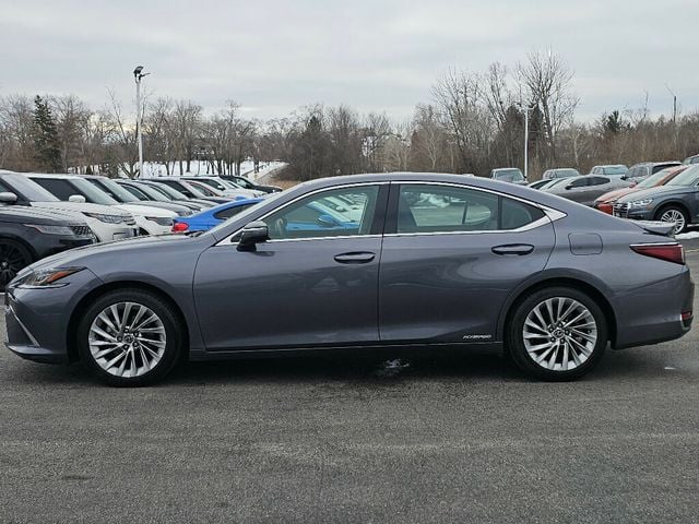 2020 Lexus ES ES 300h Luxury FWD - 22957090 - 17