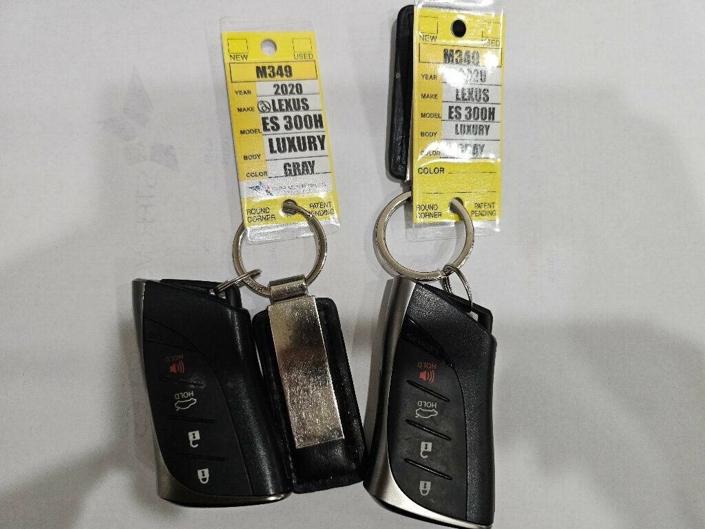 2020 Lexus ES ES 300h Luxury FWD - 22957090 - 4