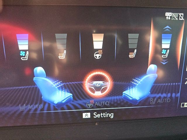 2020 Lexus LS LS 500 AWD - 22939508 - 29