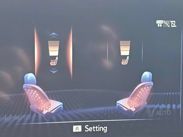 2020 Lexus LS LS 500 AWD - 22939508 - 30