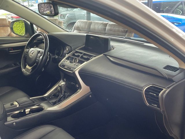 2020 Lexus NX NX 300 AWD - 23073469 - 21