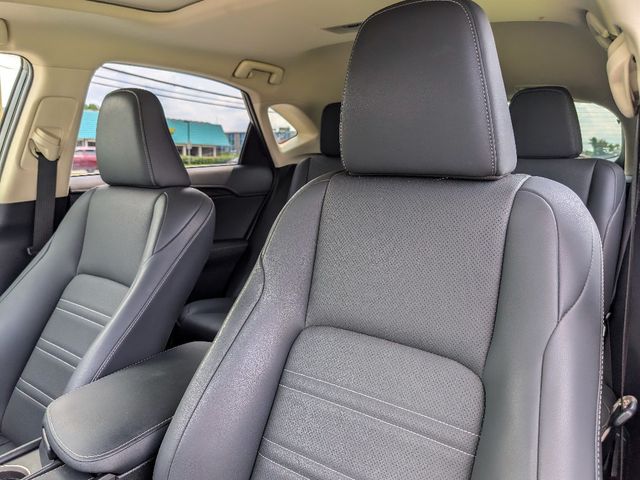 2020 Lexus NX NX 300 AWD - 23073217 - 14