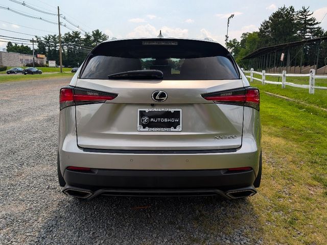 2020 Lexus NX NX 300 AWD - 23073217 - 5