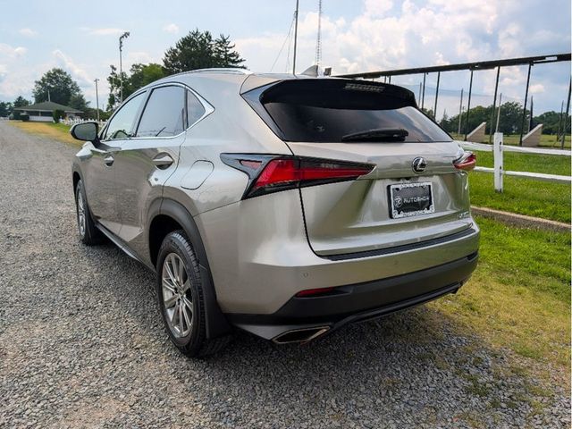 2020 Lexus NX NX 300 AWD - 23073217 - 7
