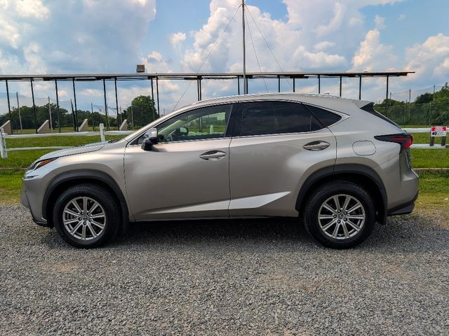 2020 Lexus NX NX 300 AWD - 23073217 - 8