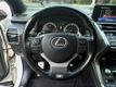 2020 Lexus NX NX 300 F SPORT FWD - 23064355 - 14