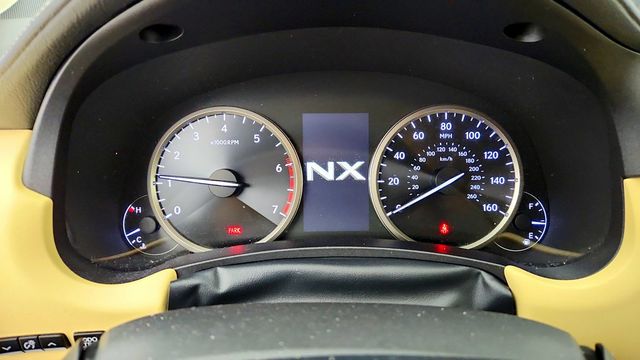 2020 Lexus NX NX 300 FWD - 23088561 - 14