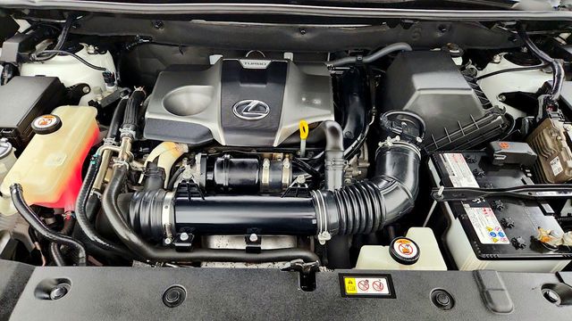 2020 Lexus NX NX 300 FWD - 23088561 - 24