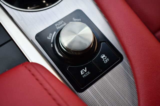 2020 Lexus RX RX 450h F SPORT AWD - 22987452 - 30