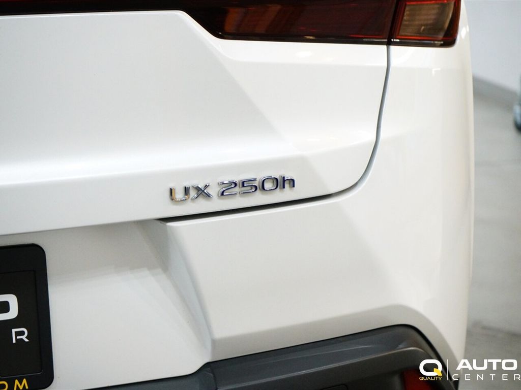 2020 Lexus UX UX 250h AWD - 22585222 - 5