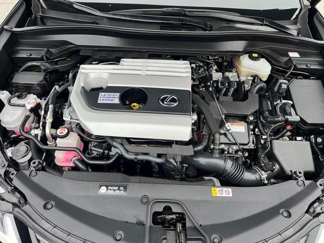 2020 Lexus UX UX 250h AWD - 23008218 - 20