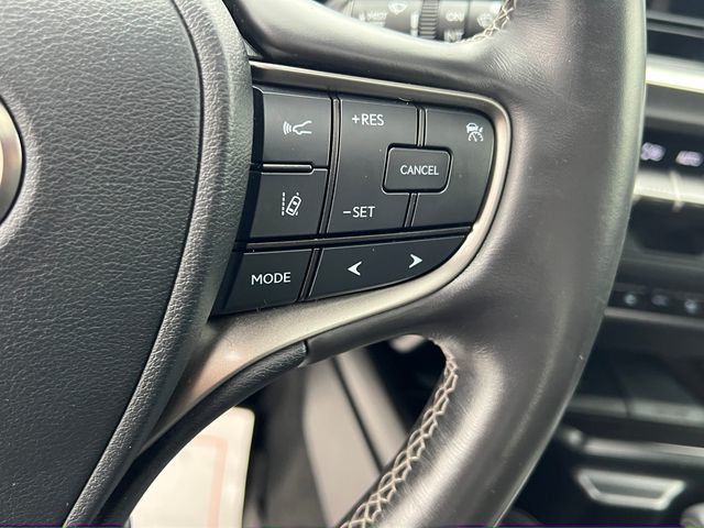 2020 Lexus UX UX 250h AWD - 23008218 - 23