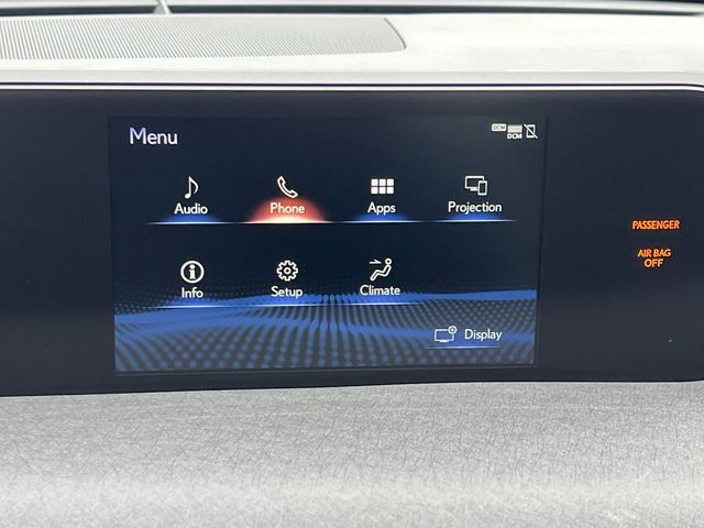 2020 Lexus UX UX 250h AWD - 23008218 - 29