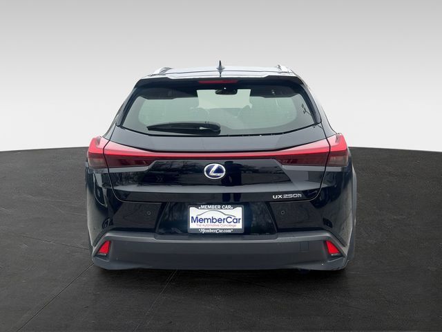 2020 Lexus UX UX 250h AWD - 23008218 - 3