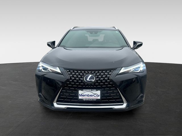2020 Lexus UX UX 250h AWD - 23008218 - 7