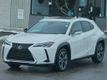 2020 Lexus UX UX 250h AWD - 22969916 - 10