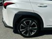 2020 Lexus UX UX 250h AWD - 22969916 - 45