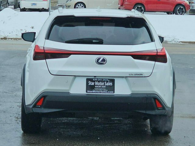 2020 Lexus UX UX 250h AWD - 22969916 - 6