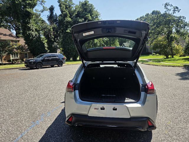 2020 Lexus UX UX 250h F SPORT AWD - 23083029 - 15