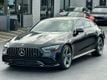 2020 Mercedes-Benz AMG GT AMG GT 53 4-Door Coupe - 23065431 - 13