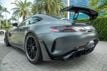 2020 Mercedes-Benz AMG GT AMG GT R Coupe - 22715508 - 24