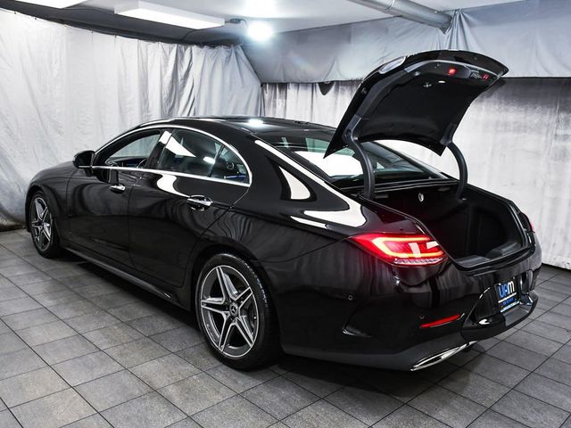 2020 Mercedes-Benz CLS CLS 450 - 22994825 - 61