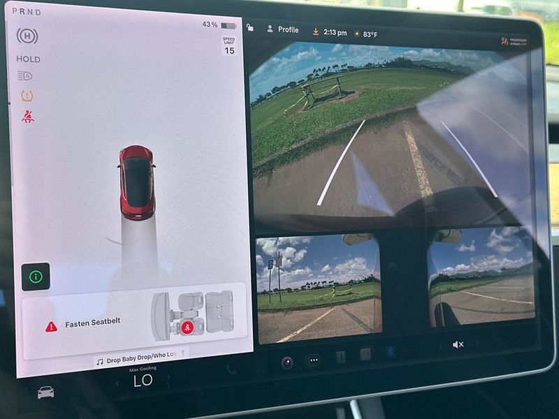 2020 Tesla Model 3 Long Range AWD - 23005143 - 15