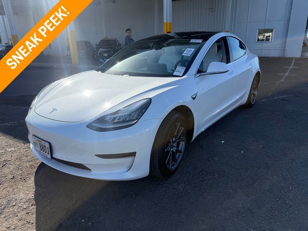 2020 Tesla Model 3 Standard Range Plus RWD - 22996351 | Video 1