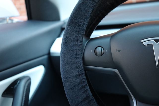 2020 Tesla Model 3 Standard Range Plus RWD - 22932872 - 8