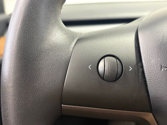 2020 Tesla Model 3 Standard Range Plus RWD - 22953576 - 22