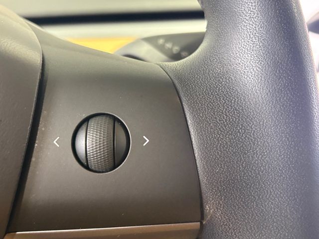 2020 Tesla Model 3 Standard Range Plus RWD - 22953576 - 25