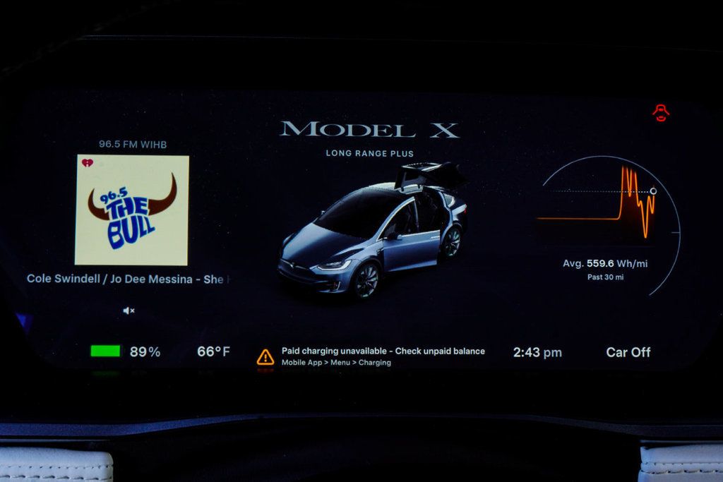 Tesla Model X photo 31