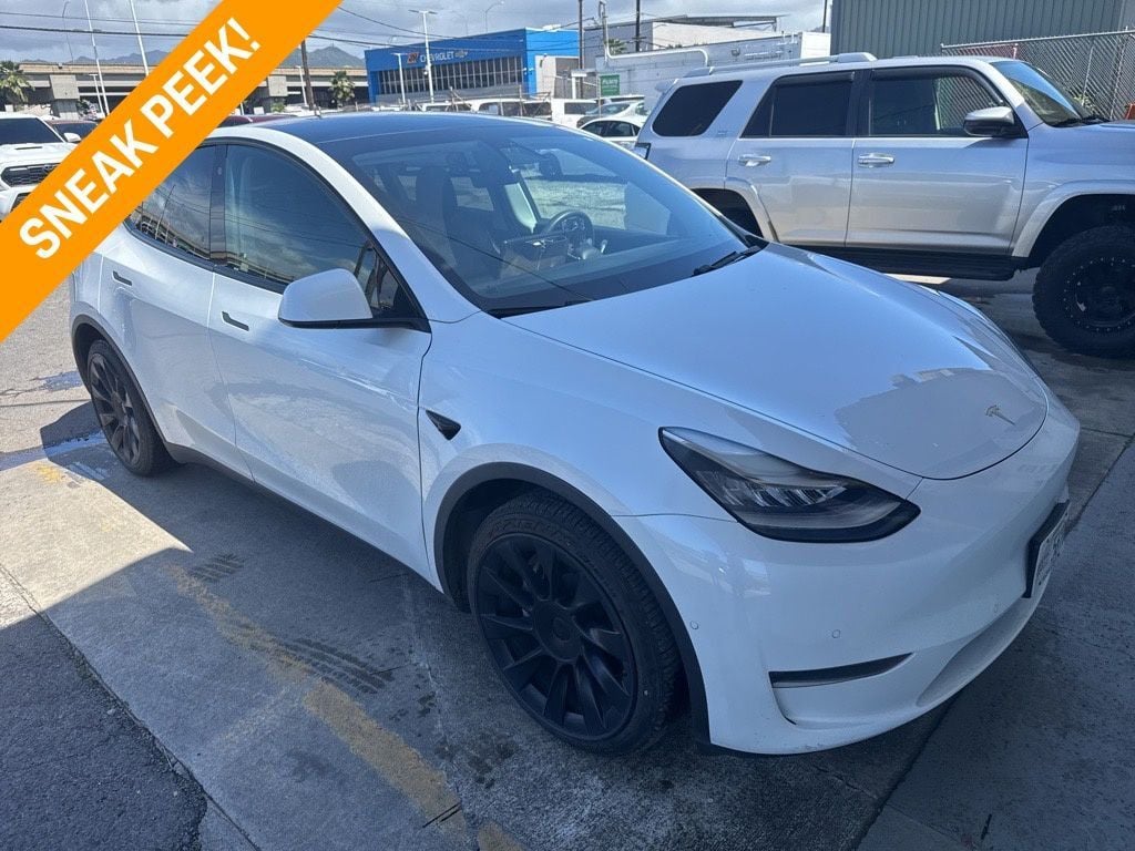 2020 Tesla Model Y Long Range AWD - 22993817 | Video 1