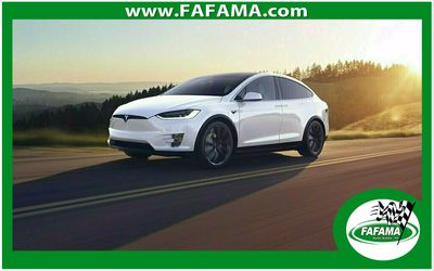 2020 Tesla  Model 3 - TEST10192021