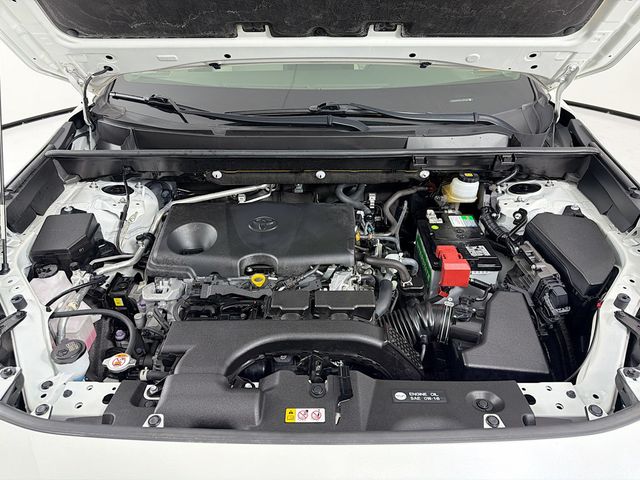 2020 Toyota RAV4 Limited AWD - 22975924 - 31